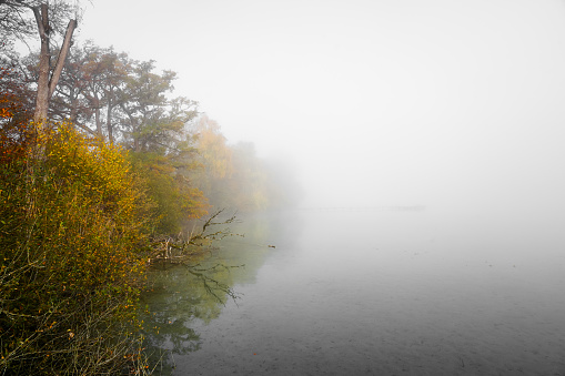 Misty morning at the lake. Mystical landscape in the fog.