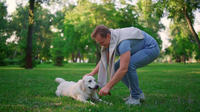 Playful dog hold leash in teeth playing. Smiling man pulling rope in park.