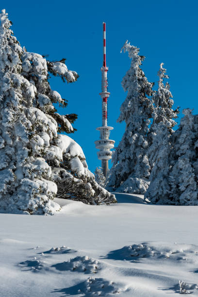 istock Communication tower on Praded hill in winter Jeseniky mountains 1487236709