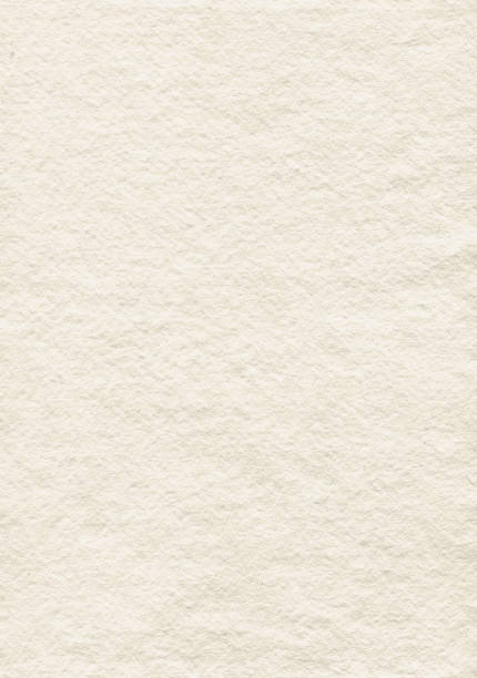 Natural art paper texture. White parchment background