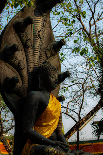 istock Naga and the Buddha 1487239363