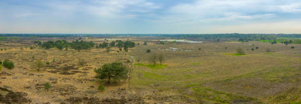 istock High angle panorama view over Kalmthout Heath nature park in Belgium 1487239422