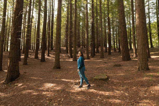 istock Young woman walking inside a forest 1487240809
