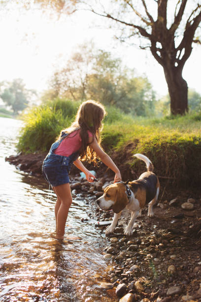 istock Child and dog refreshing in the river 1487241118