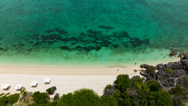 istock Tropical landscape with a beautiful beach. 1487242406