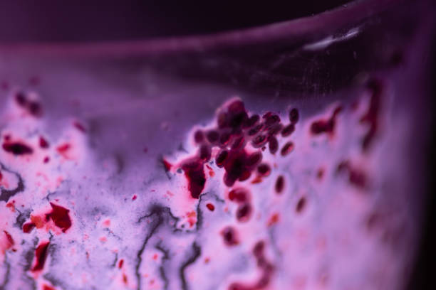Blueberry Milkshake. Close shot. Macro. No people.
