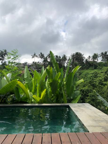 istock Travel to bali 1487247263
