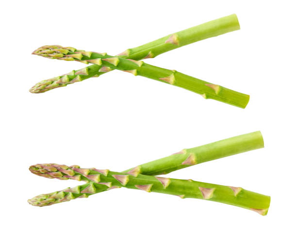 istock green raw asparagus set isolated on white background. 1487254222