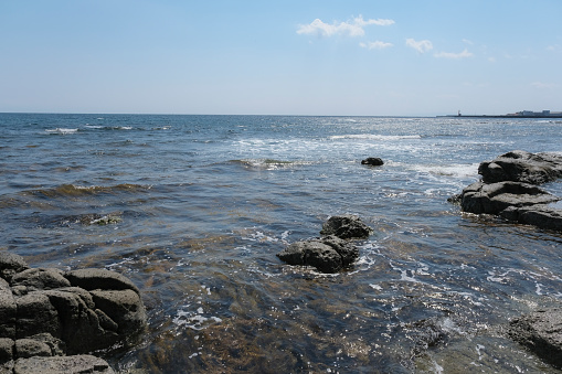 Sea of Noto rich in nature with dense seaweed