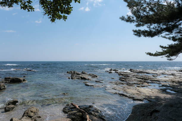 istock Kujukuwan Natural Park 1487256474