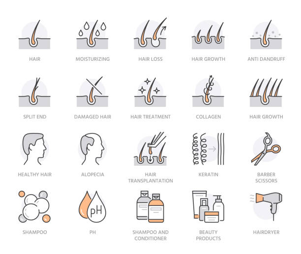 ilustrações de stock, clip art, desenhos animados e ícones de hair loss treatment flat line icons set. shampoo ph, dandruff, hair growth, keratin, conditioner bottle vector illustrations. outline signs for beauty store. orange color. editable stroke - frizzy human hair hairdresser hair dryer