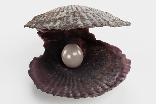 Realistic 3D Render of Pearl in Shell