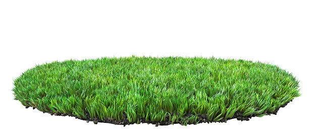 a green grass turf isolated on white background 3D illustration