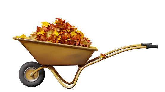 garden wheelbarrow with autumn leaves isolated on white background, 3d illustration