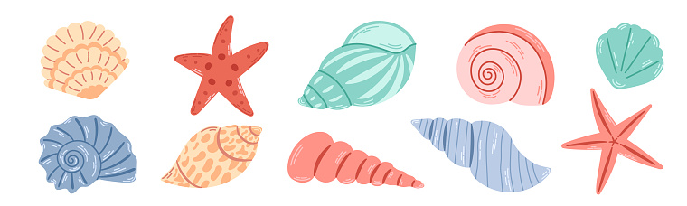 Set of colored sea shells, molluscs, sea snails, starfish. Modern flat illustration of seashells isolated on white background.
