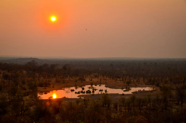 Sunset over a water hole near the town of Victoria Falls, Zimbabwe, Africa stock photo