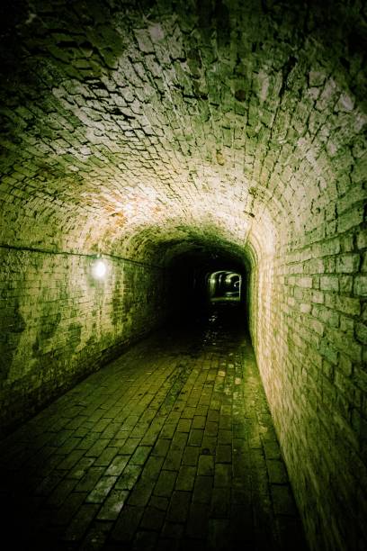 istock Bricked tunnel underneath an English stately home 1487272559