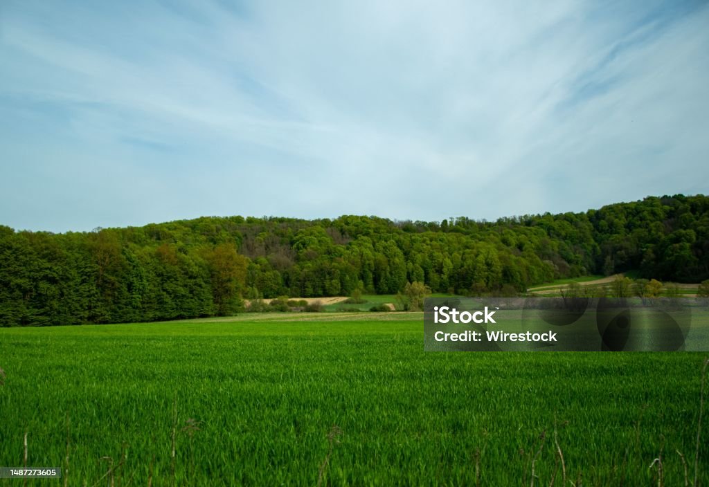 Some Field There Is An Empty Field With Some Trees In It Stock Photo - Download ...