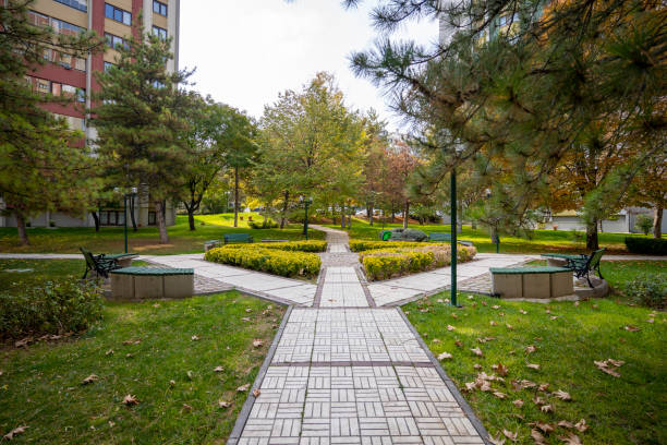 istock Green area and camellia inside the site 1487275320
