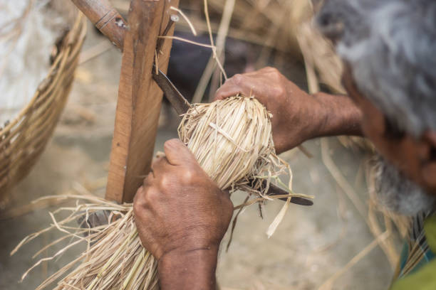 istock A man is cutting hay with scissors with his two hands 1487278422