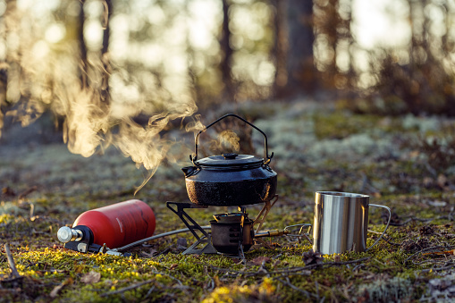 The kettle is boiled on a multi-fuel burner in the forest.