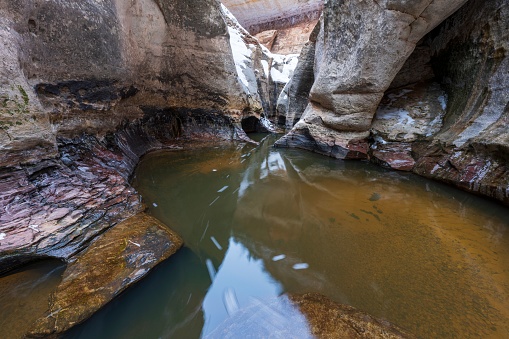 The Left Fork of North Creek in Zion National Park