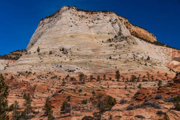 istock Upper East Canyon in Zion National Park 1487281404