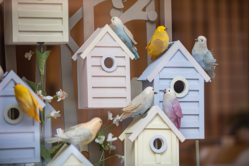 Starling Nest Boxes and birds decoration for design purpose