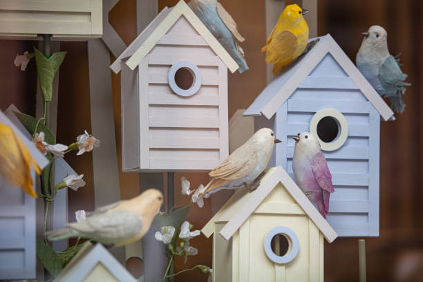 istock Starling Nest Boxes and birds decoration 1487281614