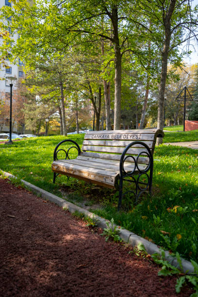 istock Walkway and empty bench in the park 1487281710