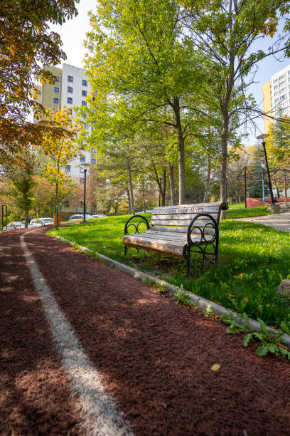 istock Walkway and empty bench in the park 1487281725