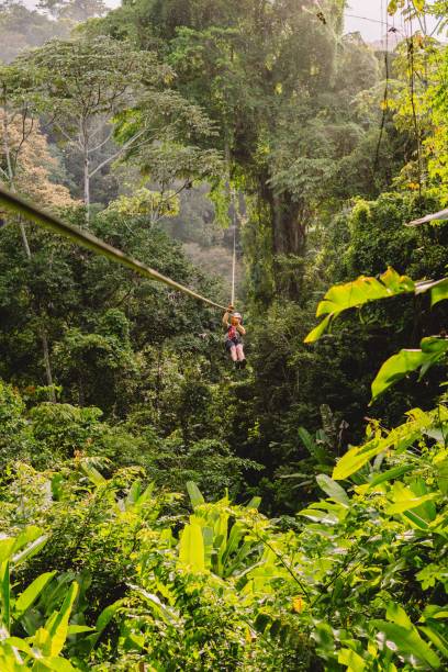istock man riding on zip lines in the forest over plants and trees 1487282709