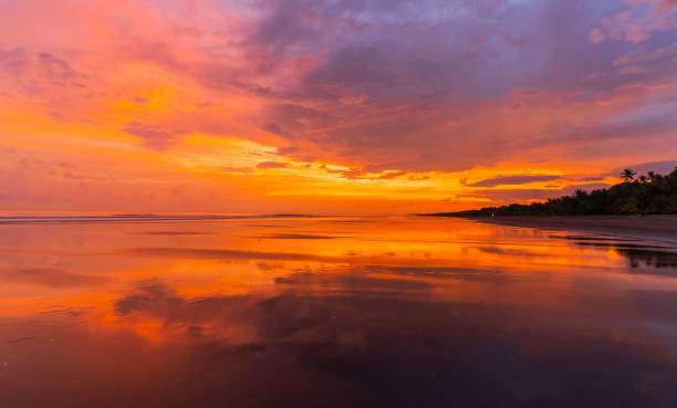 istock the sun sets behind a beach and palm trees on the water 1487282716