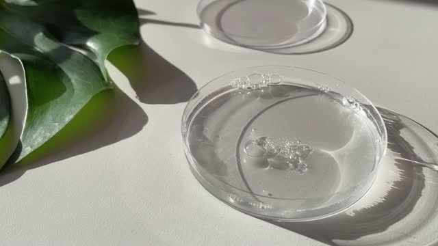 Cosmetic Viscous Transparent Gel Into a Laboratory Petri Dish for Research