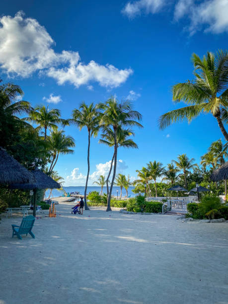 istock Scenic view of beach access in Key Largo, Florida, USA 1487283632