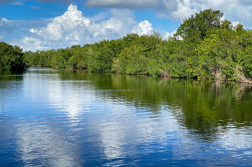 Scenic view of Wilderness Waterway or Flamingo Canal, Florida, USA against blue sky with clouds