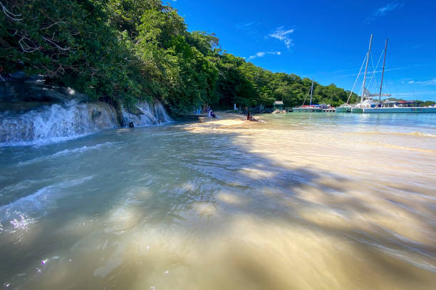 живописный вид на пляж даннс-ривер, ямайка - waterfall tropical rainforest water jamaica стоковые фото и изображения