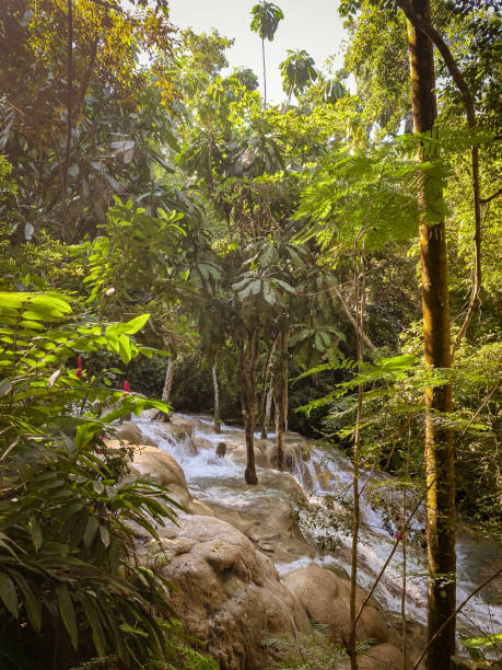 Dunns River Falls on the island of Jamaica Beautiful Dunns River Falls on the island of Jamaica dunns river falls stock pictures, royalty-free photos & images