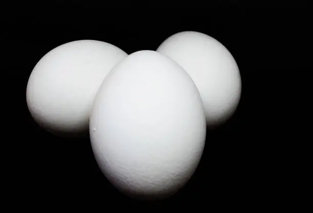 three chicken eggs against a black background