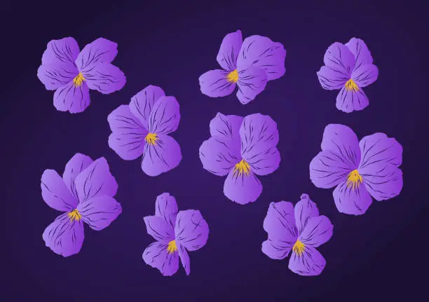 Vector illustration of Set of floral elements, violet, purple flowers resource.