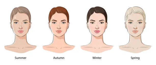 Vector illustration of Color types of female appearance, vector illustration