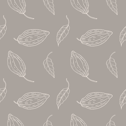 Seamless pattern with cocoa fruits and cocoa plant on a gray background. A lot of cacao, repeating background, ornament. Hand drawn.Boho chic style. Packaging, textiles, polygraph, printing.Vector . Design element