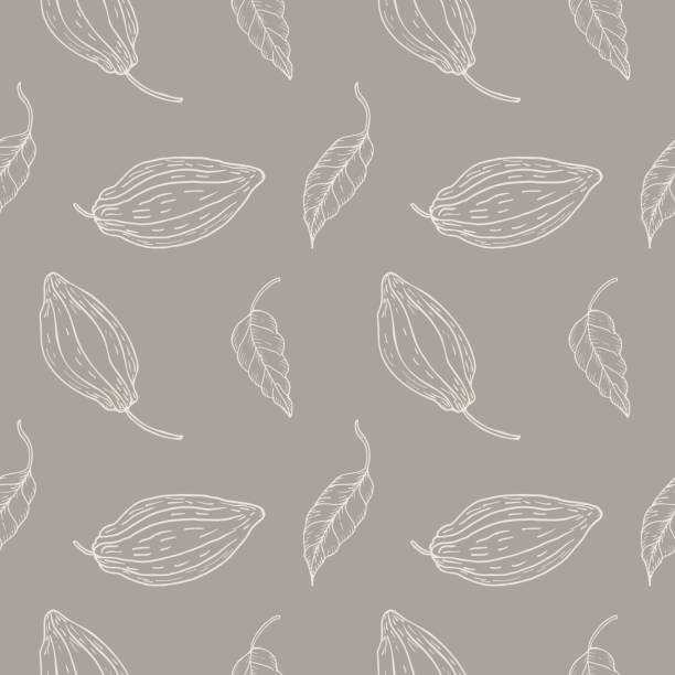 Seamless pattern with cocoa fruits and cocoa plant on a gray background. A lot of cacao, repeating background, ornament. Hand drawn.Boho chic style. Packaging, textiles, polygraph, printing.Vector Seamless pattern with cocoa fruits and cocoa plant on a gray background. A lot of cacao, repeating background, ornament. Hand drawn.Boho chic style. Packaging, textiles, polygraph, printing.Vector . Design element threshing stock illustrations