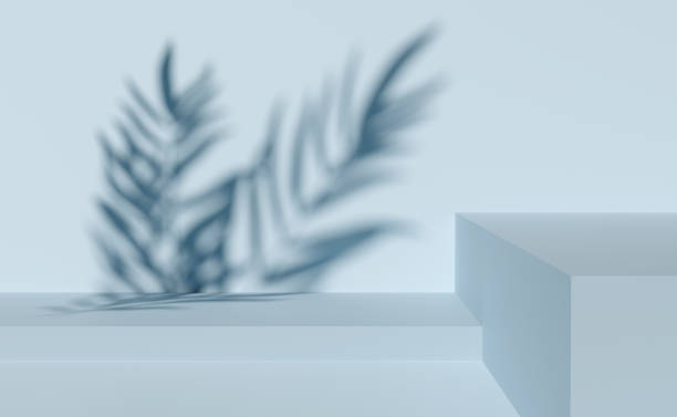 istock 3d gray cube stage podium empty with palm leaf shadow, abstract geometric cosmetic showcase pedestal grey background. minimal modern scene, 3d render illustration 1487290007