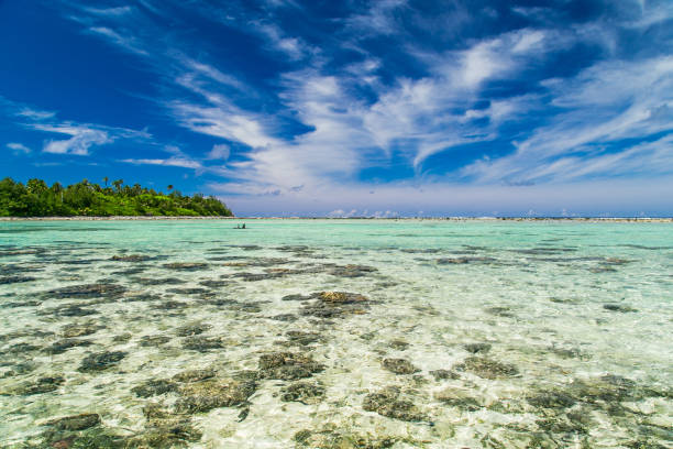 istock Tropical bay, paradise destination on the Cook Islands. 1487290465