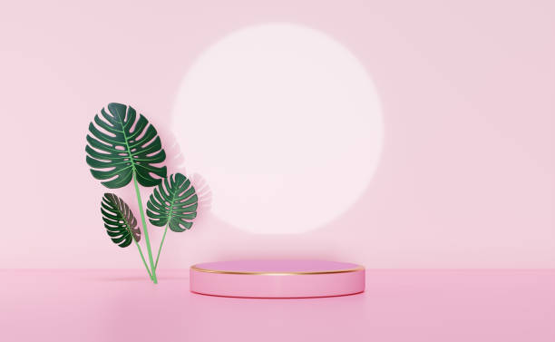 istock 3d pink cylinder stage podium empty with palm leaf, abstract geometric cosmetic showcase pedestal pink background. minimal modern scene, 3d render illustration 1487290479
