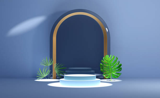 istock 3d gray cylinder stage podium empty with palm leaf shadow, abstract geometric cosmetic showcase pedestal grey background. minimal modern scene, 3d render illustration 1487291013