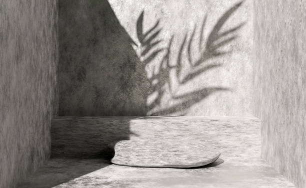 istock 3d gray stone cube stage podium empty with palm leaf shadow, abstract geometric cosmetic showcase pedestal grey background. minimal modern scene, 3d render illustration 1487291074