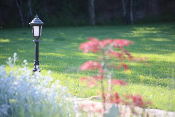 istock Lamp and small red bush on the grass 1487291211