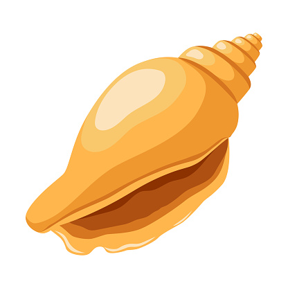 Sea shell in flat cartoon style. Isolated seashell on a white background.